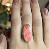 14k Ss Spiny Oyster Shell Ring